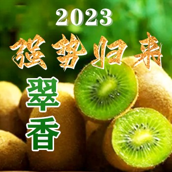 周至【即食】翠香獼猴桃，即到即...