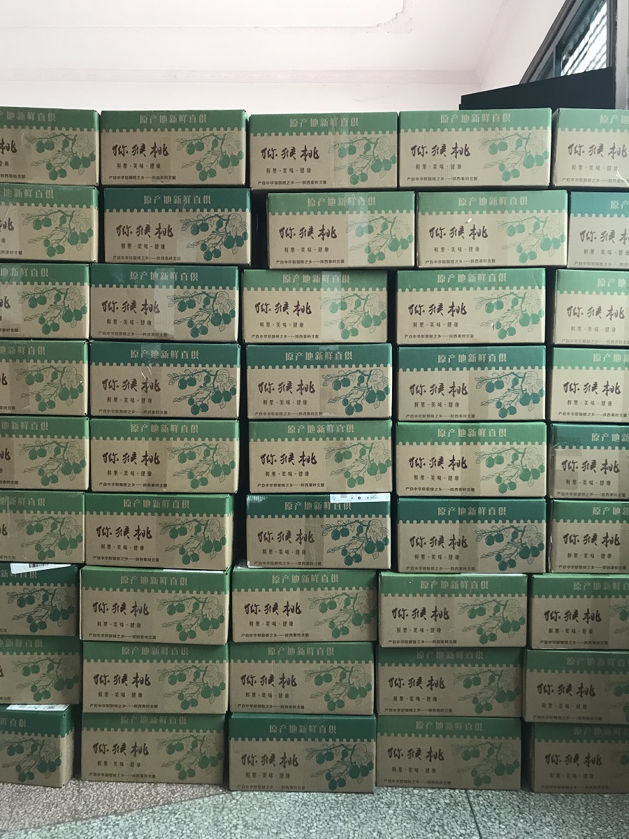 獼猴桃陜西產地【整車配送】品質